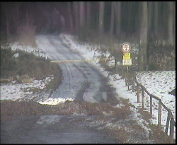 Nástup na běžecké tratě