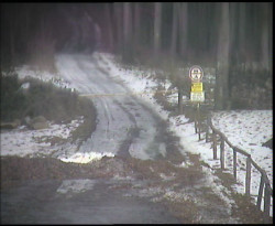Nástup na běžecké tratě