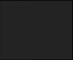 Nástup na běžecké tratě