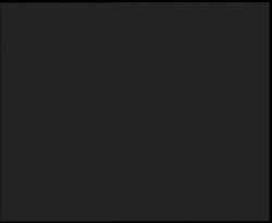 Nástup na běžecké tratě