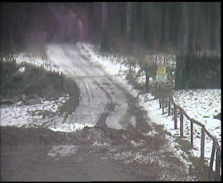 Nástup na běžecké tratě