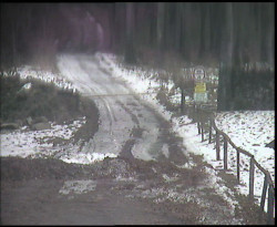 Nástup na běžecké tratě