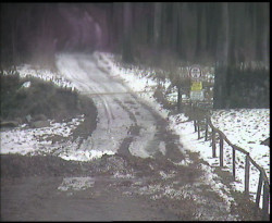 Nástup na běžecké tratě