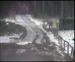 Nástup na běžecké tratě