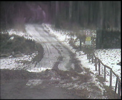 Nástup na běžecké tratě