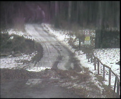 Nástup na běžecké tratě