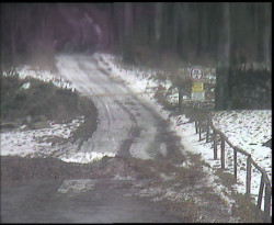 Nástup na běžecké tratě