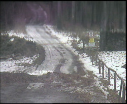 Nástup na běžecké tratě