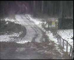 Nástup na běžecké tratě