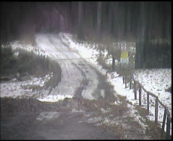 Nástup na běžecké tratě