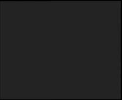 Nástup na běžecké tratě