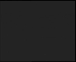 Nástup na běžecké tratě