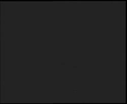 Nástup na běžecké tratě