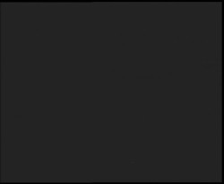 Nástup na běžecké tratě