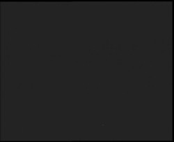 Nástup na běžecké tratě