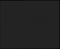 Nástup na běžecké tratě