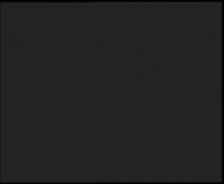 Nástup na běžecké tratě