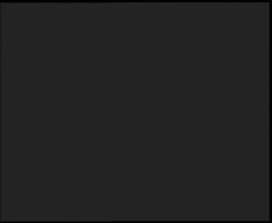 Nástup na běžecké tratě