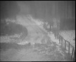 Nástup na běžecké tratě