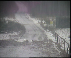 Nástup na běžecké tratě