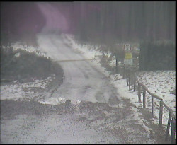 Nástup na běžecké tratě