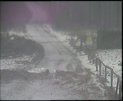 Nástup na běžecké tratě