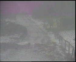 Nástup na běžecké tratě