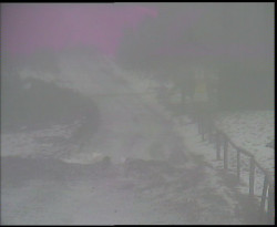 Nástup na běžecké tratě