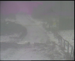 Nástup na běžecké tratě