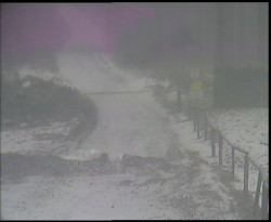 Nástup na běžecké tratě