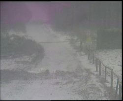 Nástup na běžecké tratě