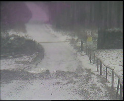 Nástup na běžecké tratě