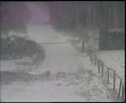 Nástup na běžecké tratě