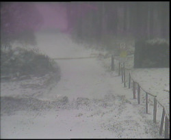 Nástup na běžecké tratě