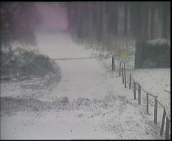 Nástup na běžecké tratě