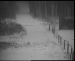 Nástup na běžecké tratě