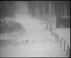 Nástup na běžecké tratě