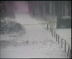 Nástup na běžecké tratě