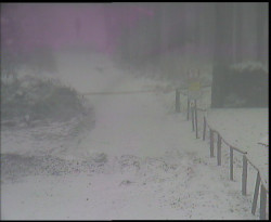 Nástup na běžecké tratě