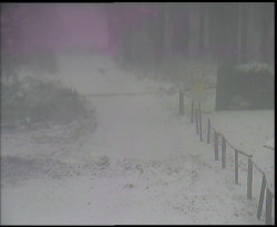 Nástup na běžecké tratě