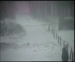 Nástup na běžecké tratě