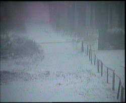 Nástup na běžecké tratě