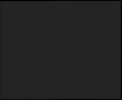 Nástup na běžecké tratě