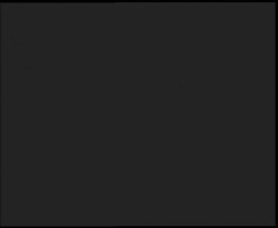 Nástup na běžecké tratě