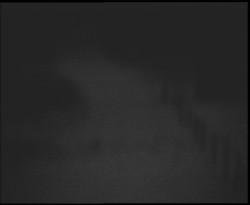 Nástup na běžecké tratě