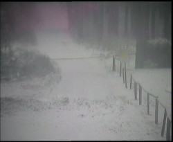 Nástup na běžecké tratě