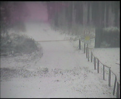 Nástup na běžecké tratě