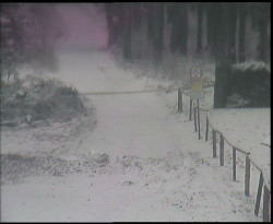 Nástup na běžecké tratě