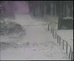 Nástup na běžecké tratě