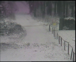 Nástup na běžecké tratě